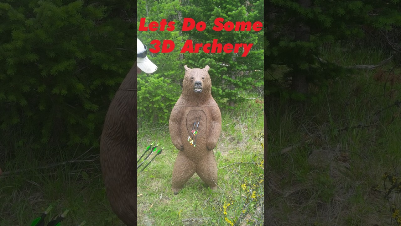 A look At 3D Archery /