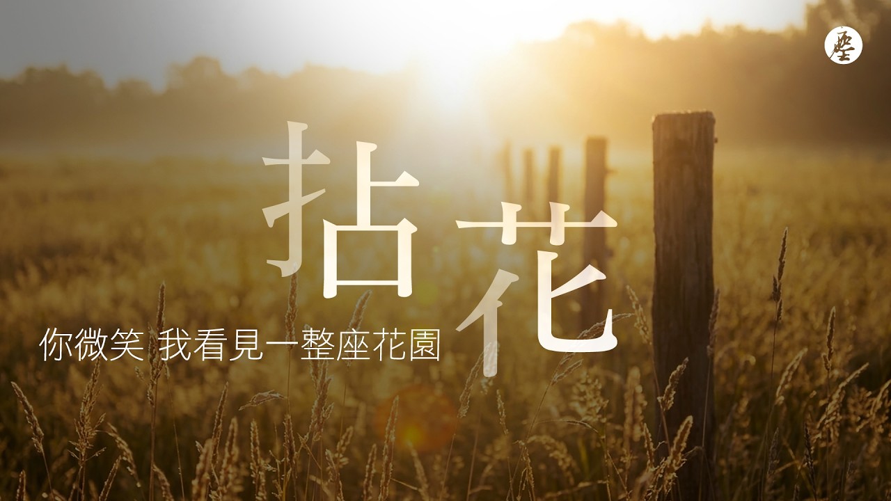 《拈花》｜我們都是尋找光的過客｜禪意人生歌曲｜文行天地