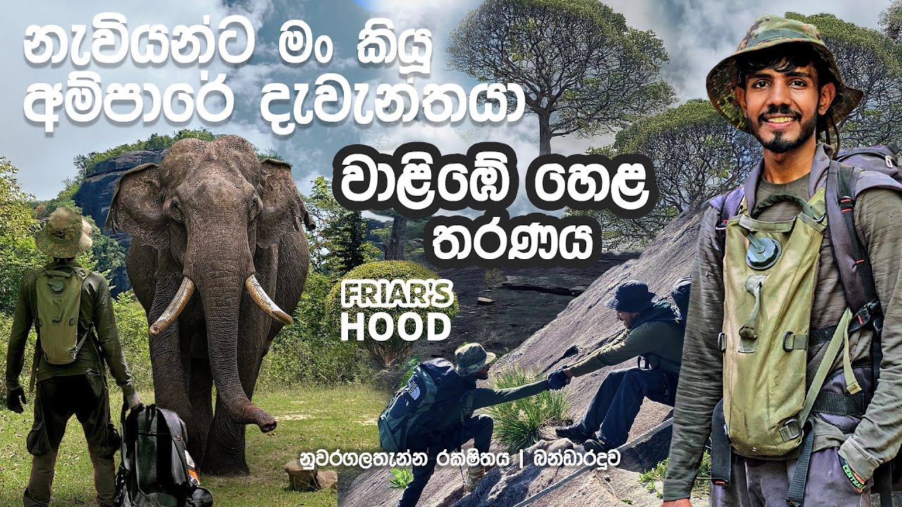 නැවියන්ට මං කියූ අම්පාරෙ දැවැන්තයා | වාළිඹේ හෙළ තරණය | Friar's Hood | අම්පාර