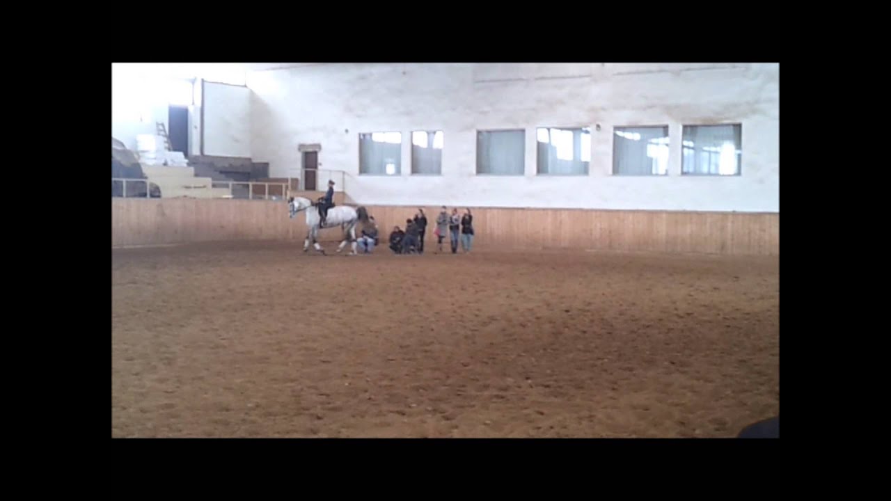 siwa-trening z Robem