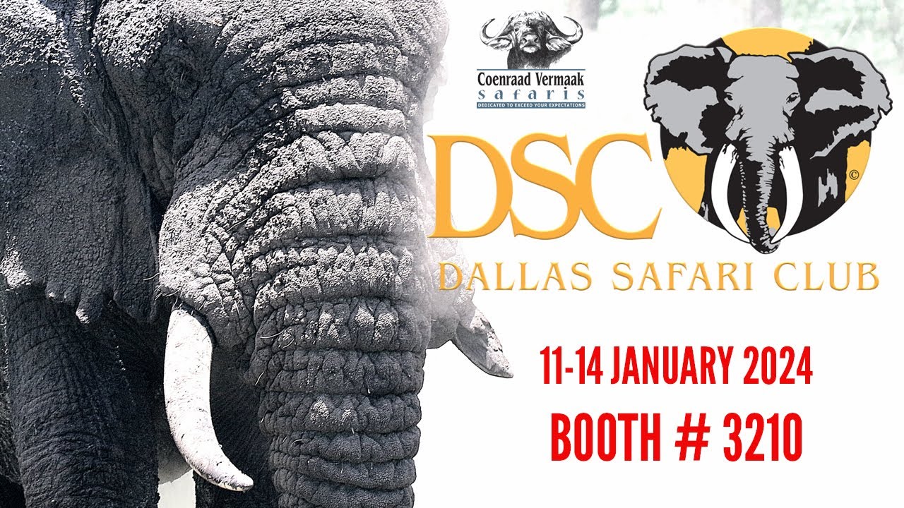 DALLAS SAFARI CLUB 2024 : CVS @ BOOTH 3210