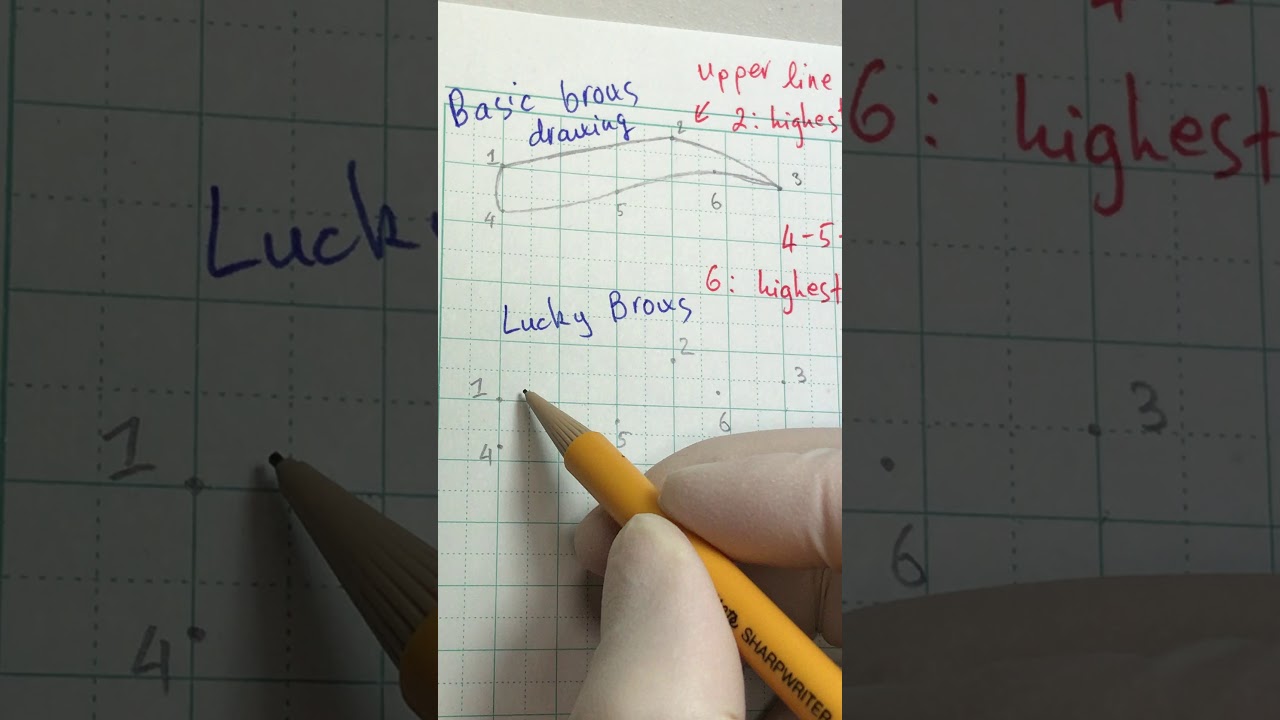 Basic Brows Drawing