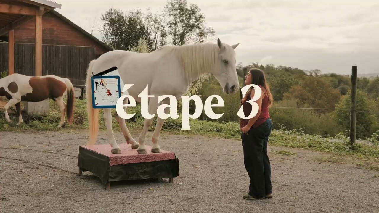 Etho'Lau - Le jeu - 200 exercices de travail à pied avec ton cheval