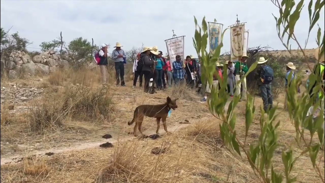 Peregrinación al Señor de los Rayos Valparaíso-Temastian. Un camino de Fe