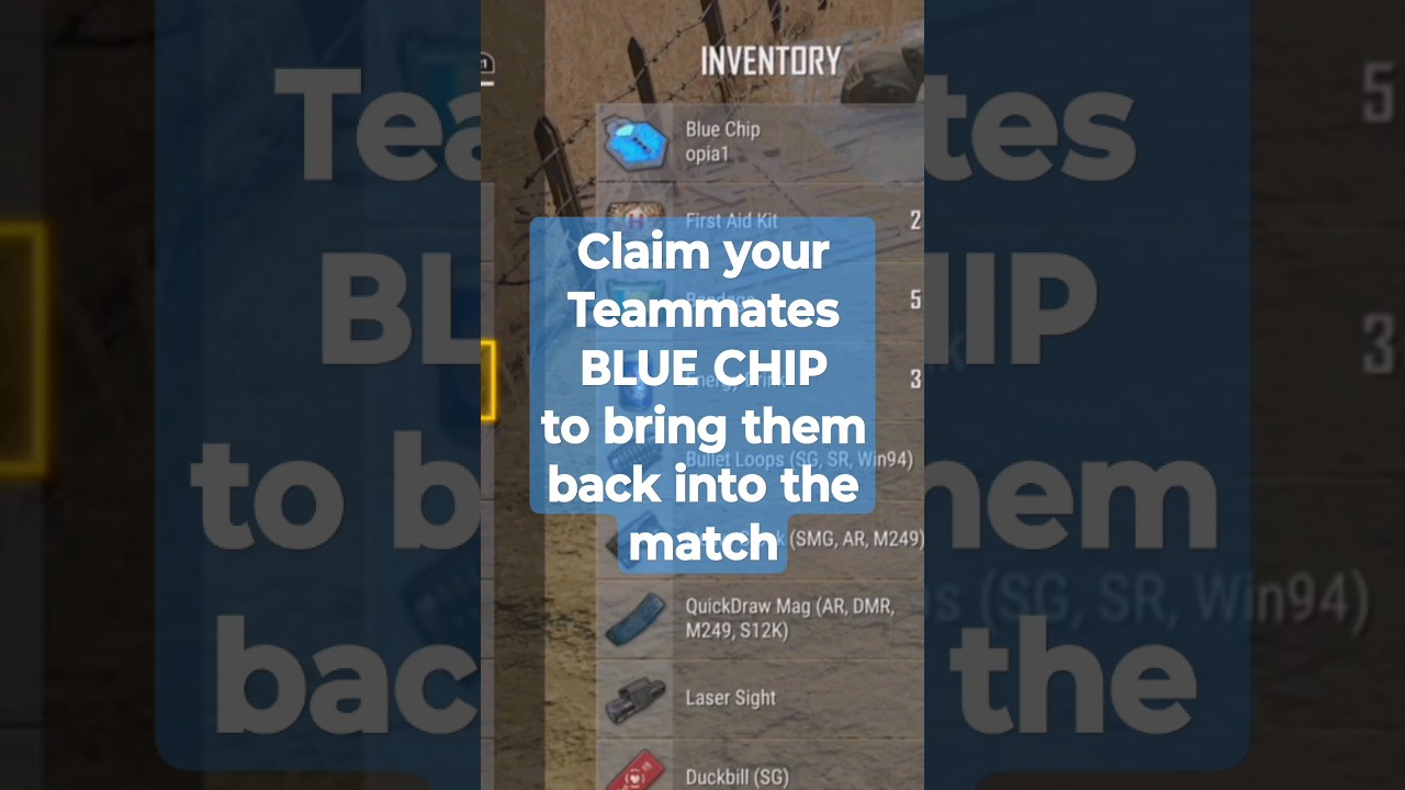 No Excuses Anymore... #bluechip can revive your TM after death 😇 #pubg #battlegrounds #ressurection
