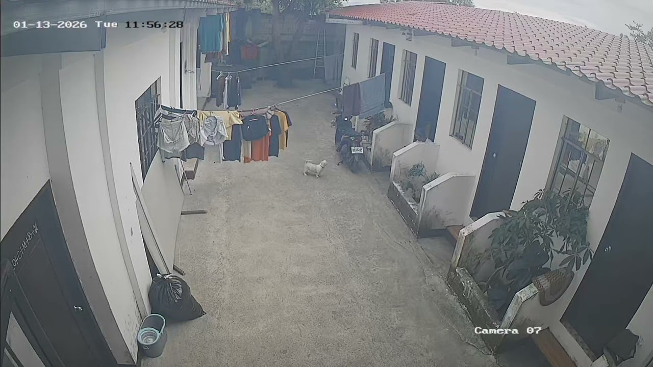 Tuesday: January 13, 2026 nasa Bahay poging pogi