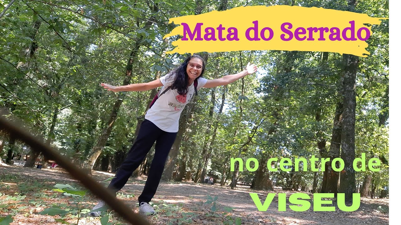 Cantinho verde no centro de Viseu
