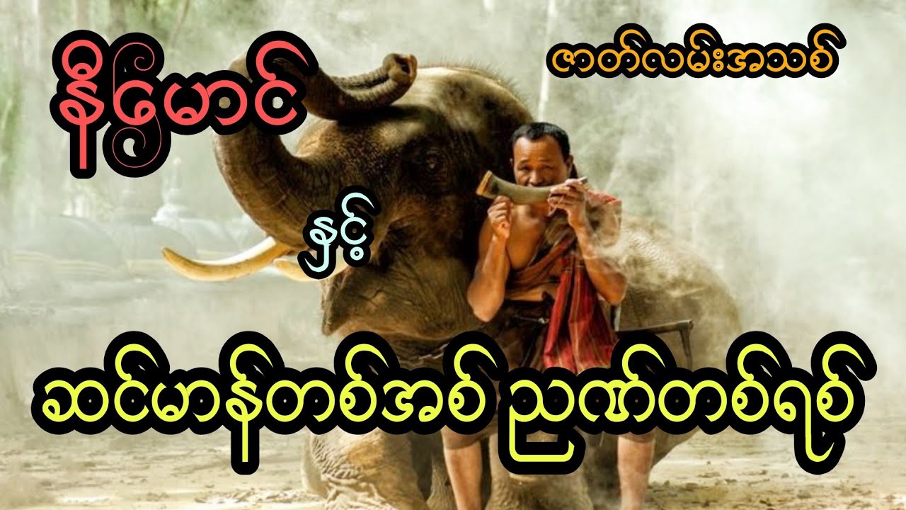 နီမောင် နှင့် ဆင်မာန်တအစ် ညဏ်တစ်ရစ် (ဇာတ်လမ်းအသစ်)