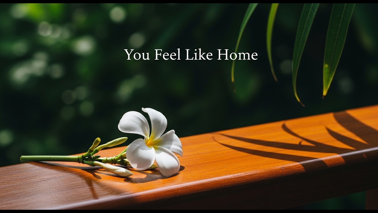 EchoTone Studio | You Feel Like Home  | Lyric Video