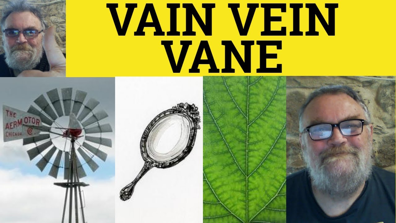 🔵 Vain Vein Vane Meaning - Vein Definition - Vain Examples Vane Vain Vein Difference Vein Vain Vane