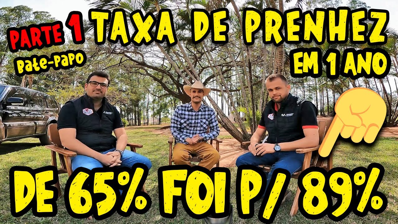 TAXA DE PRENHEZ, COMO AUMENTAR? AUMENTO DE 24% em 1 ANO, GALPEC CONSULTORIA AGROPECU&Aacute;RIA