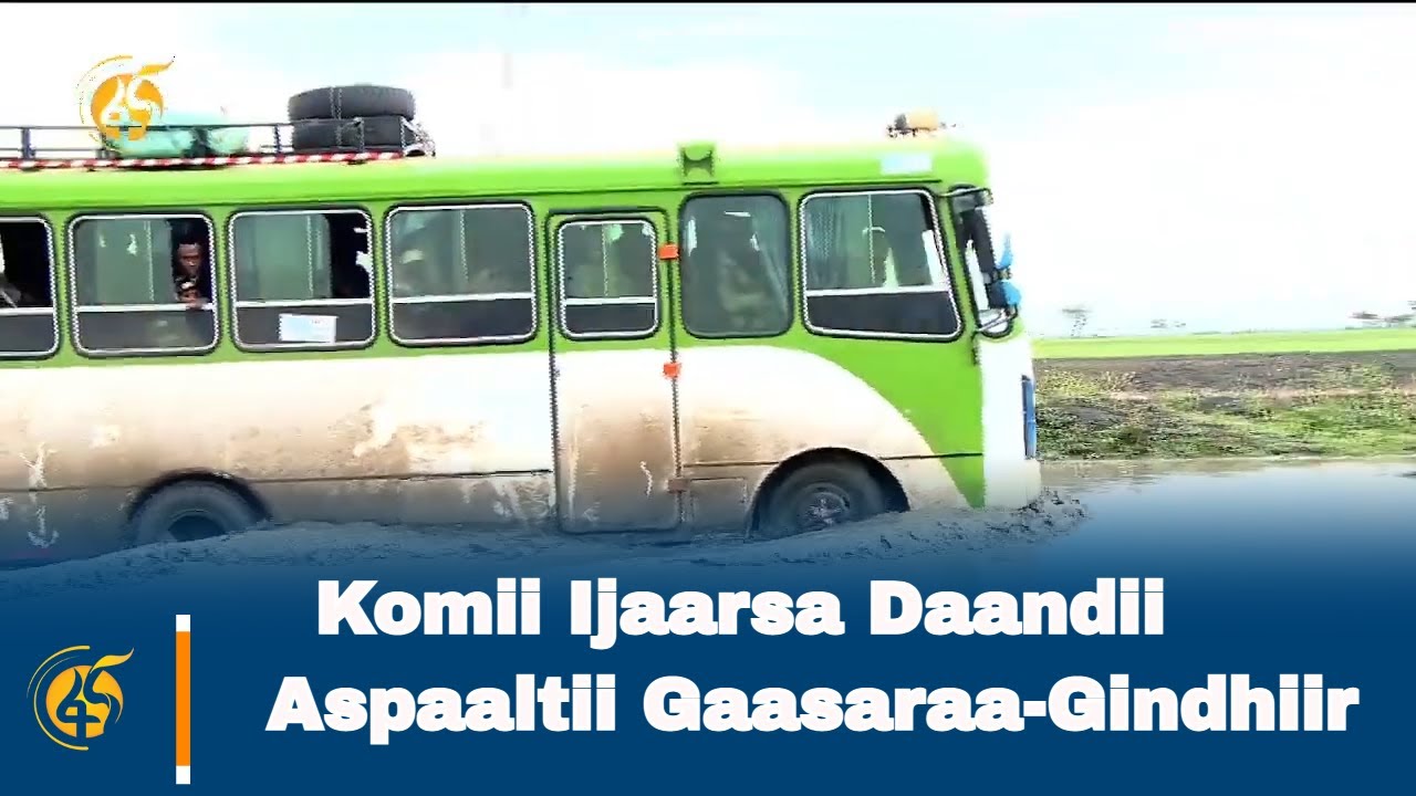 Komii Ijaarsa Daandii Aspaaltii Gaasaraa-Gindhiir