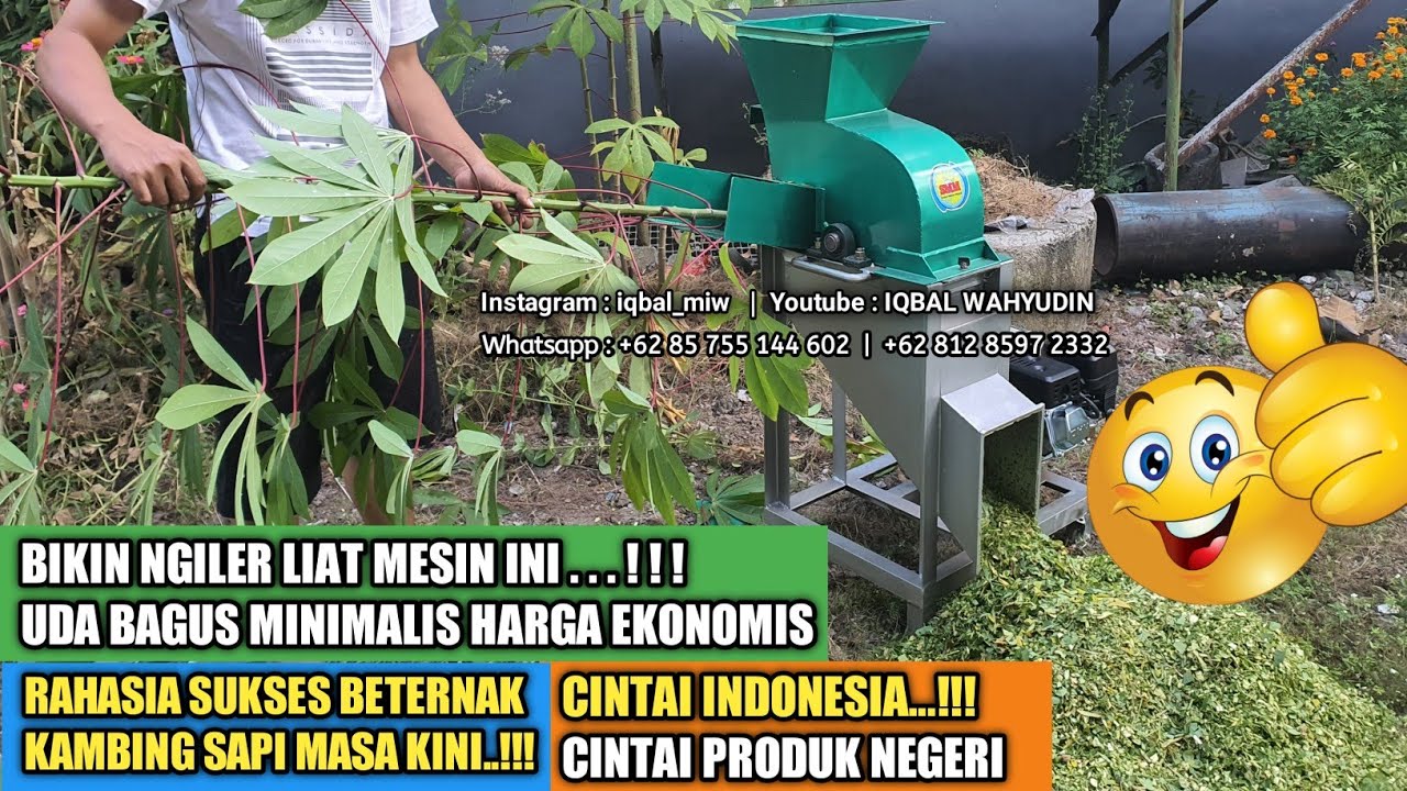 Luar Biasa..!!! Mesin Pencacah Rumput Pakan Ternak Multifungsi Mesin Cacah Pakan Sapi Kambing Murah