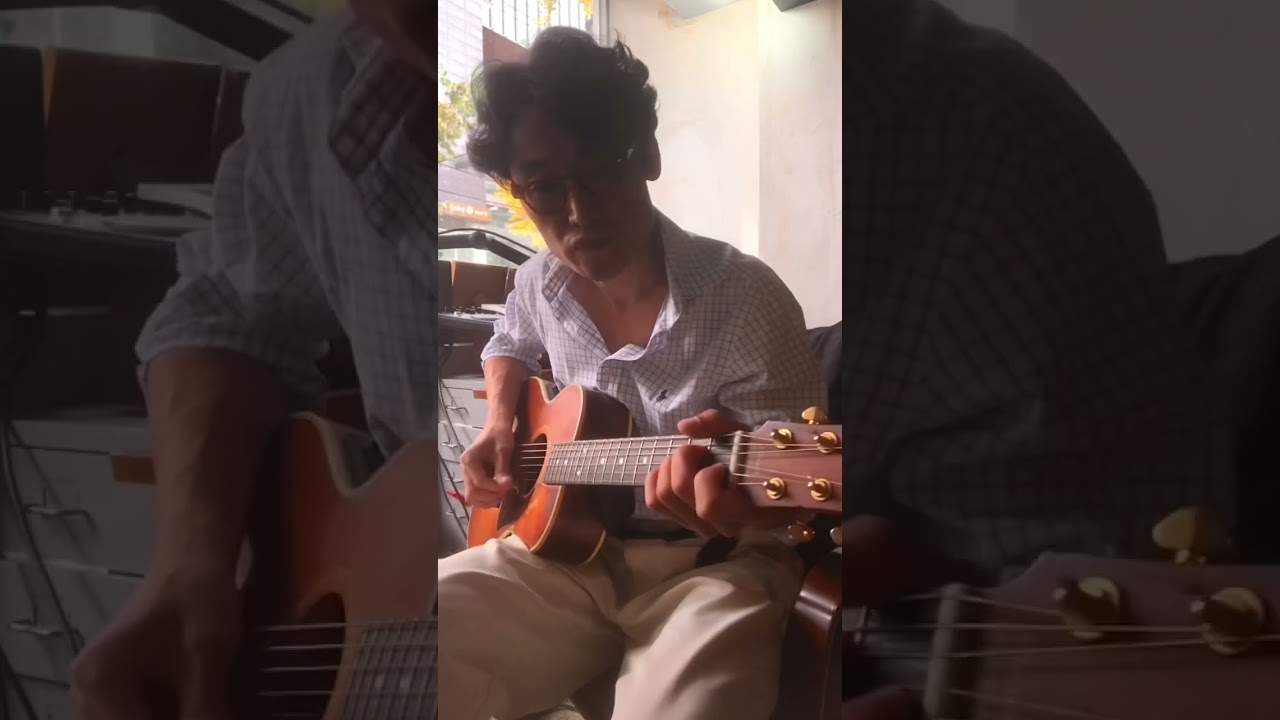 🎸acoustic maton guitar with aer amp