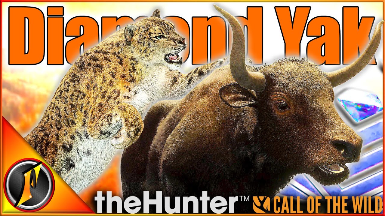 Diamond Yak & Hunting Snow Leopards! | Sundarpatan theHunter Call of the Wild