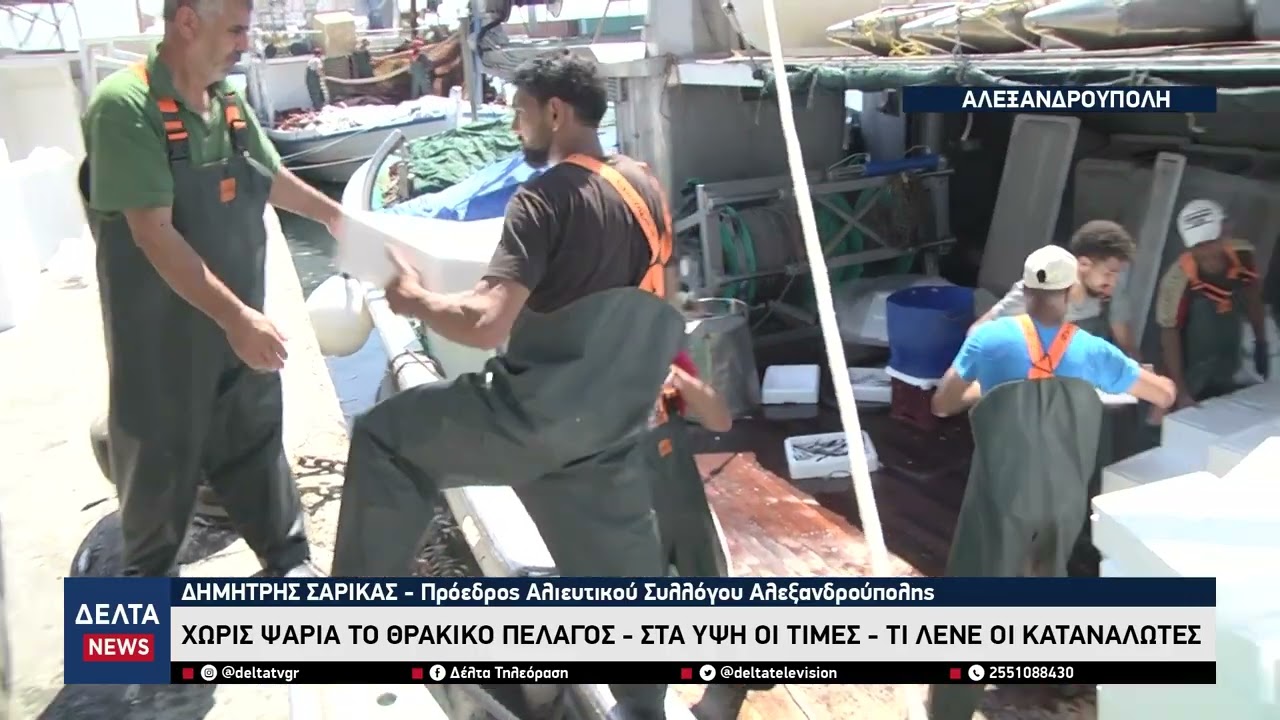 Θρακικό Πέλαγος: Άδεια δίχτυα – Απόγνωση στους αλιείς για την υπεραλίευση από Τούρκους