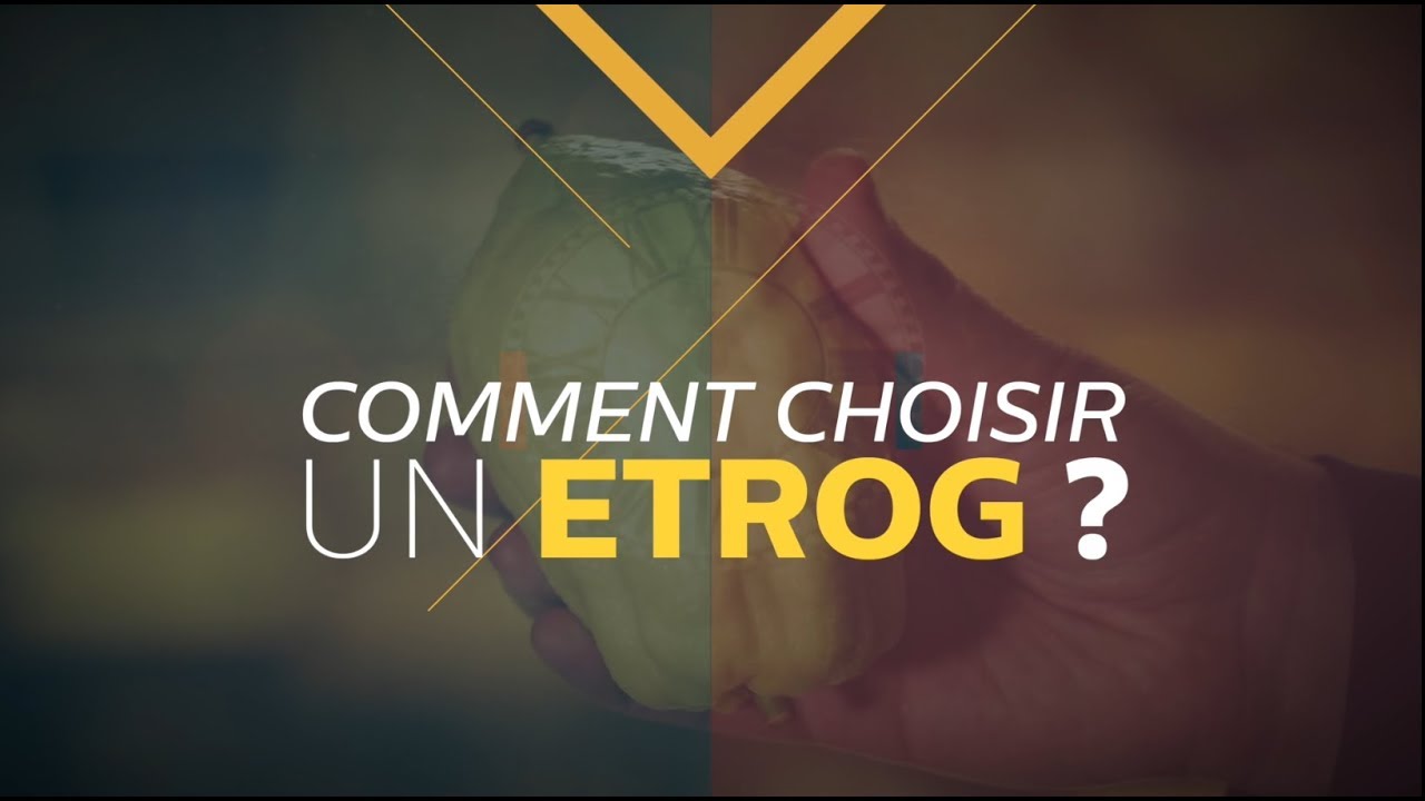 Comment choisir un Etrog ?