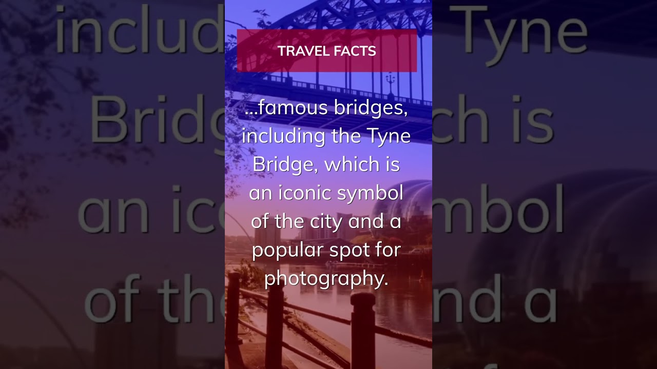 More Than Just Beer - Newcastle: History, Culture, and Nightlife