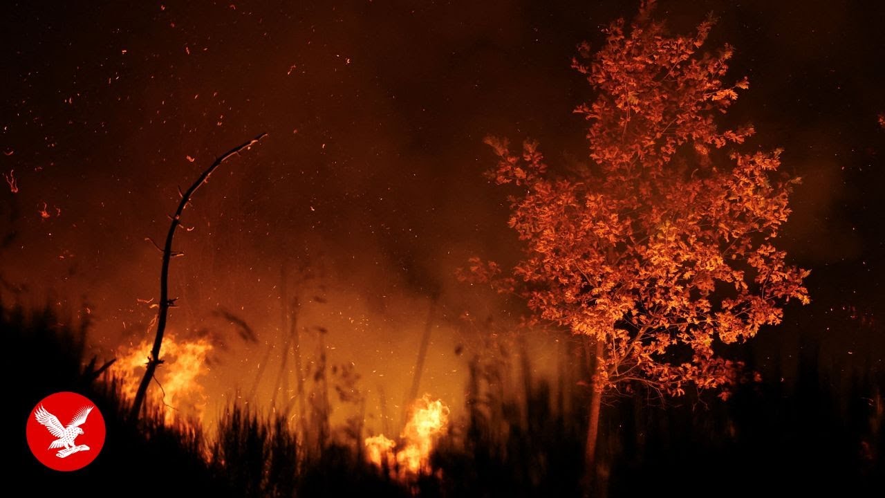 Live: Firefighters battle blaze in Portugal as wildfires wreak havoc