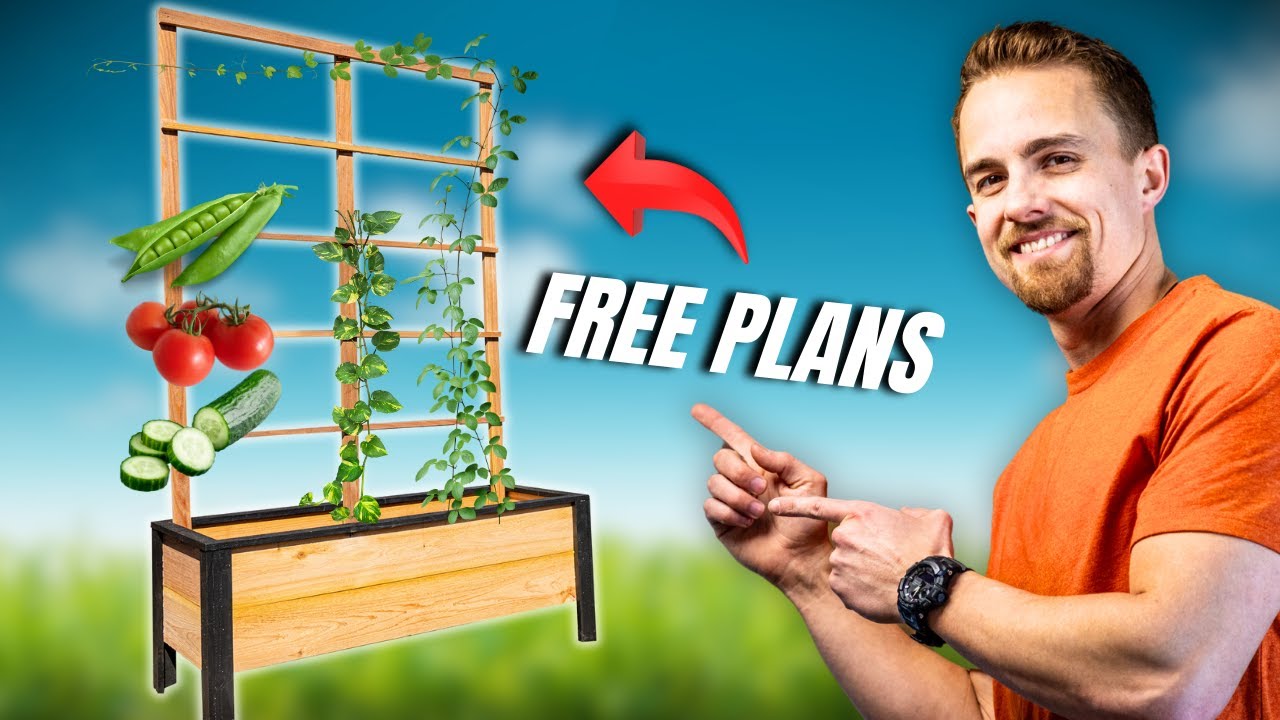 DIY Raised Garden Bed and Trellis | Homemade Garden Beds For Beginners - FREE Plans
