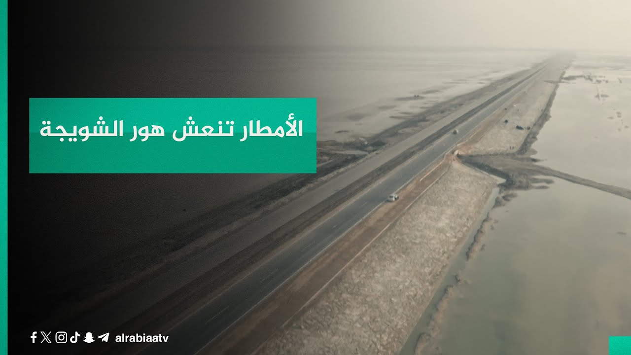 واسط .. الأمطار تنعش هور الشويجة وتعيد حياته بعد الجفاف