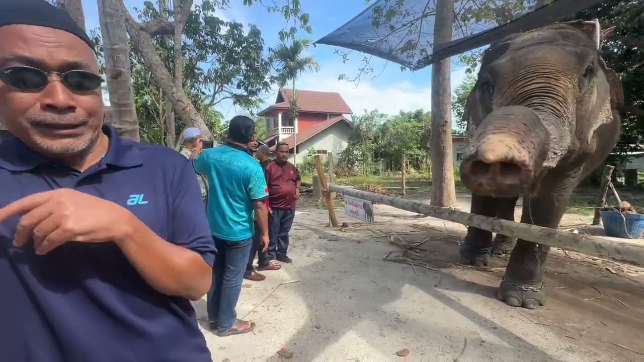 sawadikap