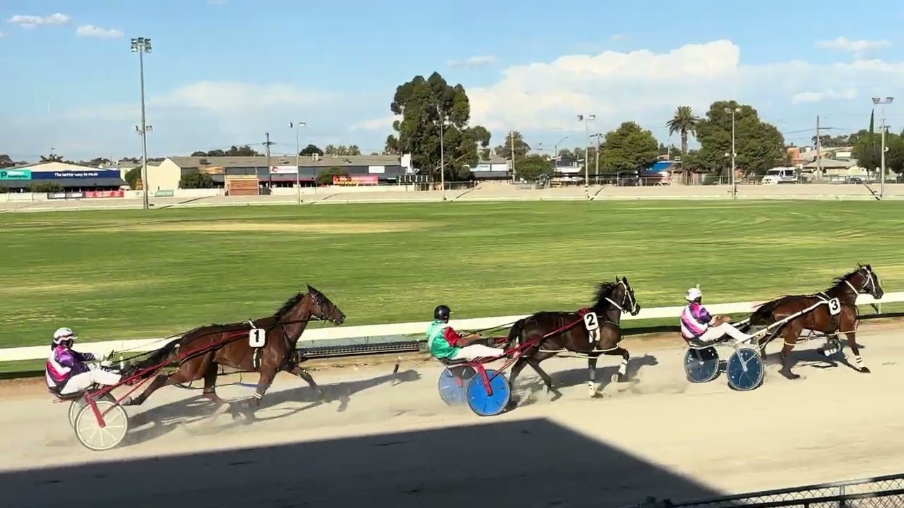 Mildura Harness Racing Club 19 Jan 2026 Trial 3