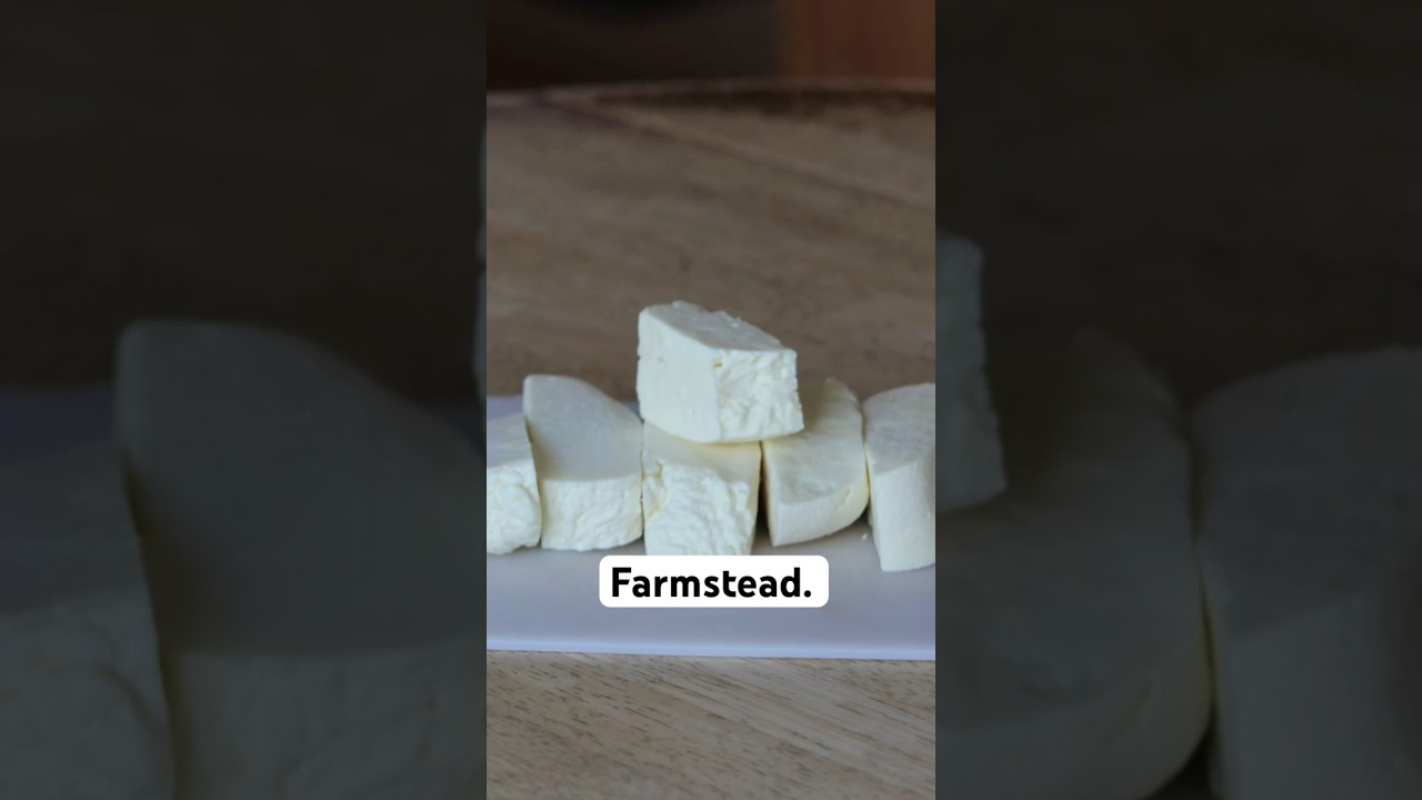 From Sheep to Cheese in 60 Seconds 🐑🧀 #sheepmilk #feta #homemadecheese