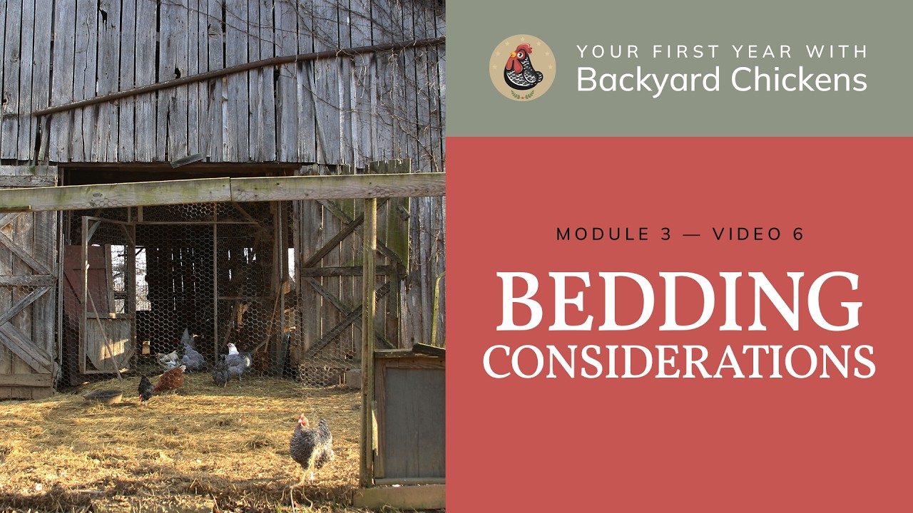 M3 V5 Coop & Run: Bedding Considerations