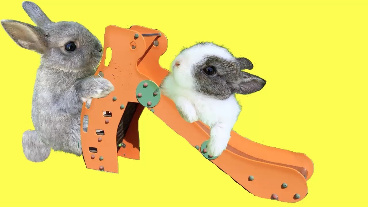 Jugando en el parque infantil para niños con mis conejitos bebés Sol y Nube / Funny Bunny