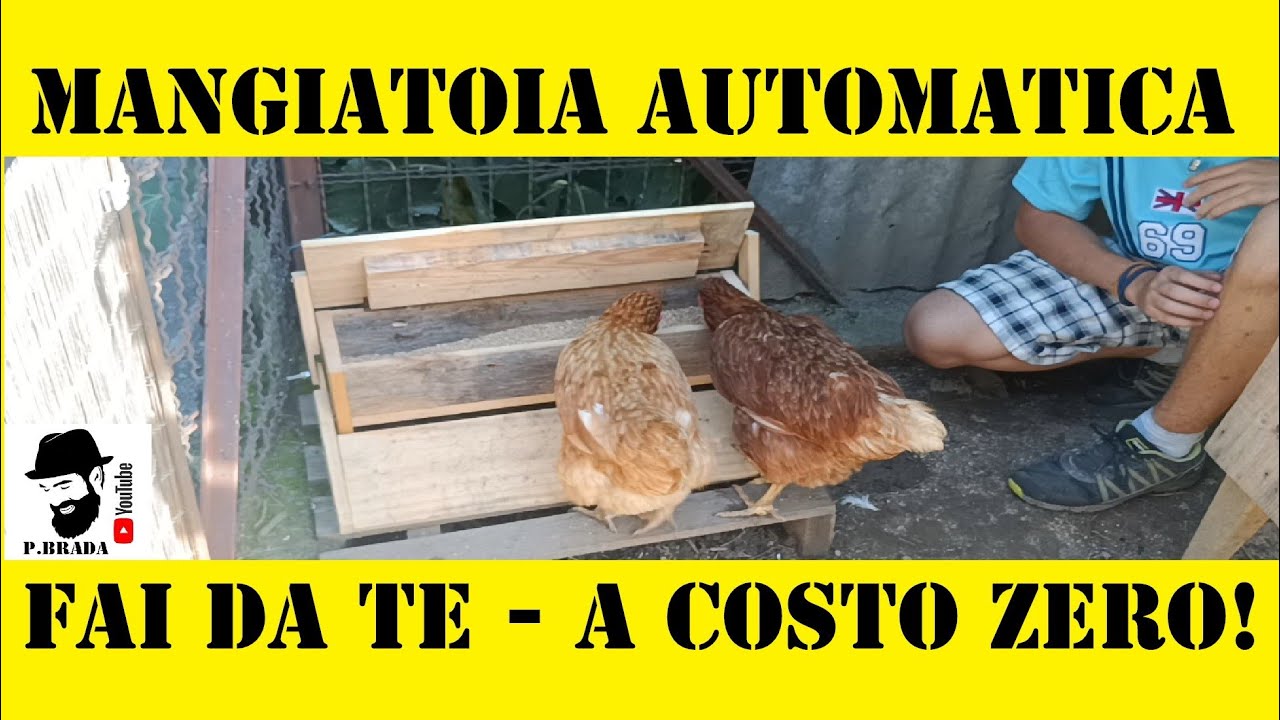 Come creare una Mangiatoia automatica per galline Fai da Te