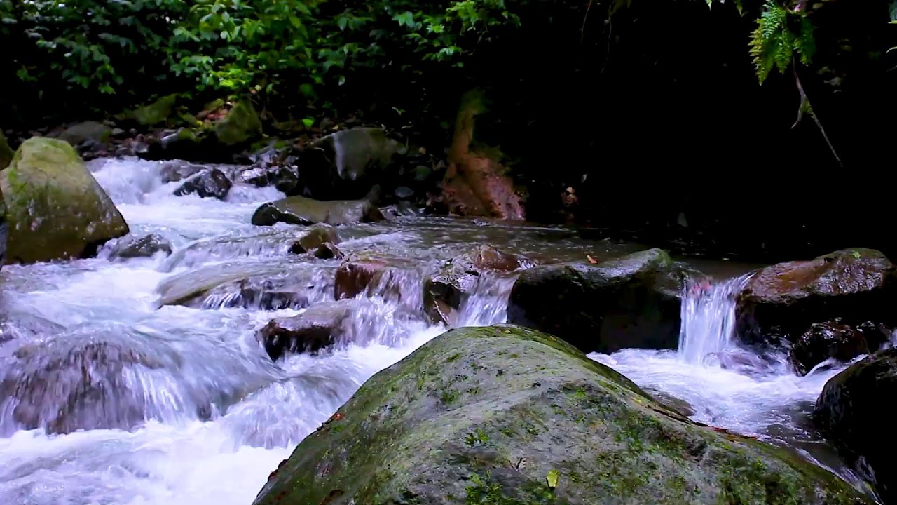 Mountain River Flowing Sounds to Unwind, Relax, and Restore Inner Calm