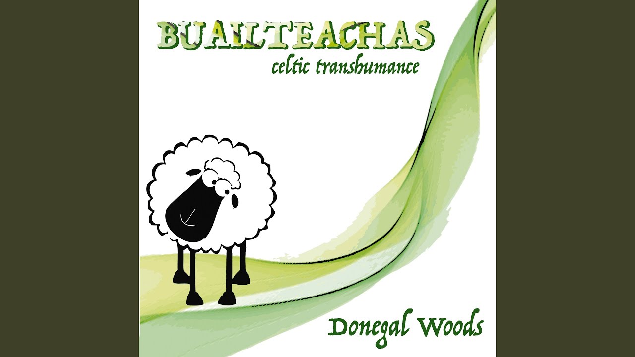 Humours of Ballyloughlin