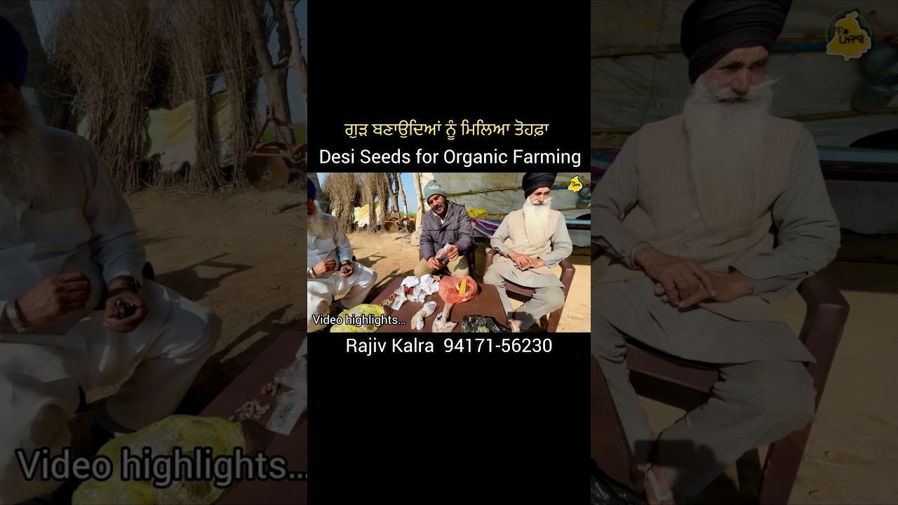 PR Panjab #prpanjab #agriculture #farming #villagelife #punjab #india