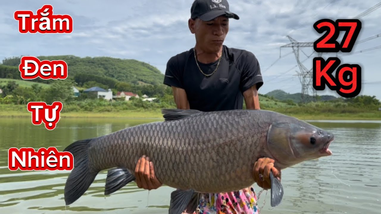 Chạm Mặt Trắm Đen Tự Nhiên 27kg