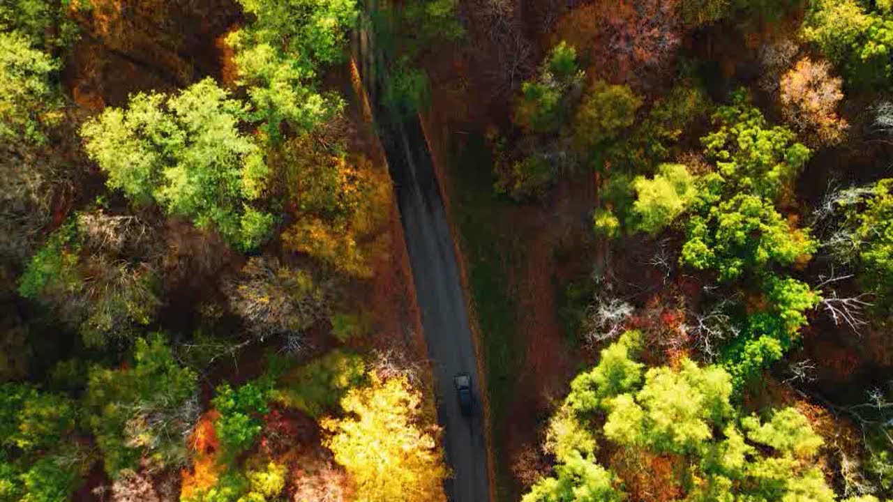 Fall in Letchworth Park New York