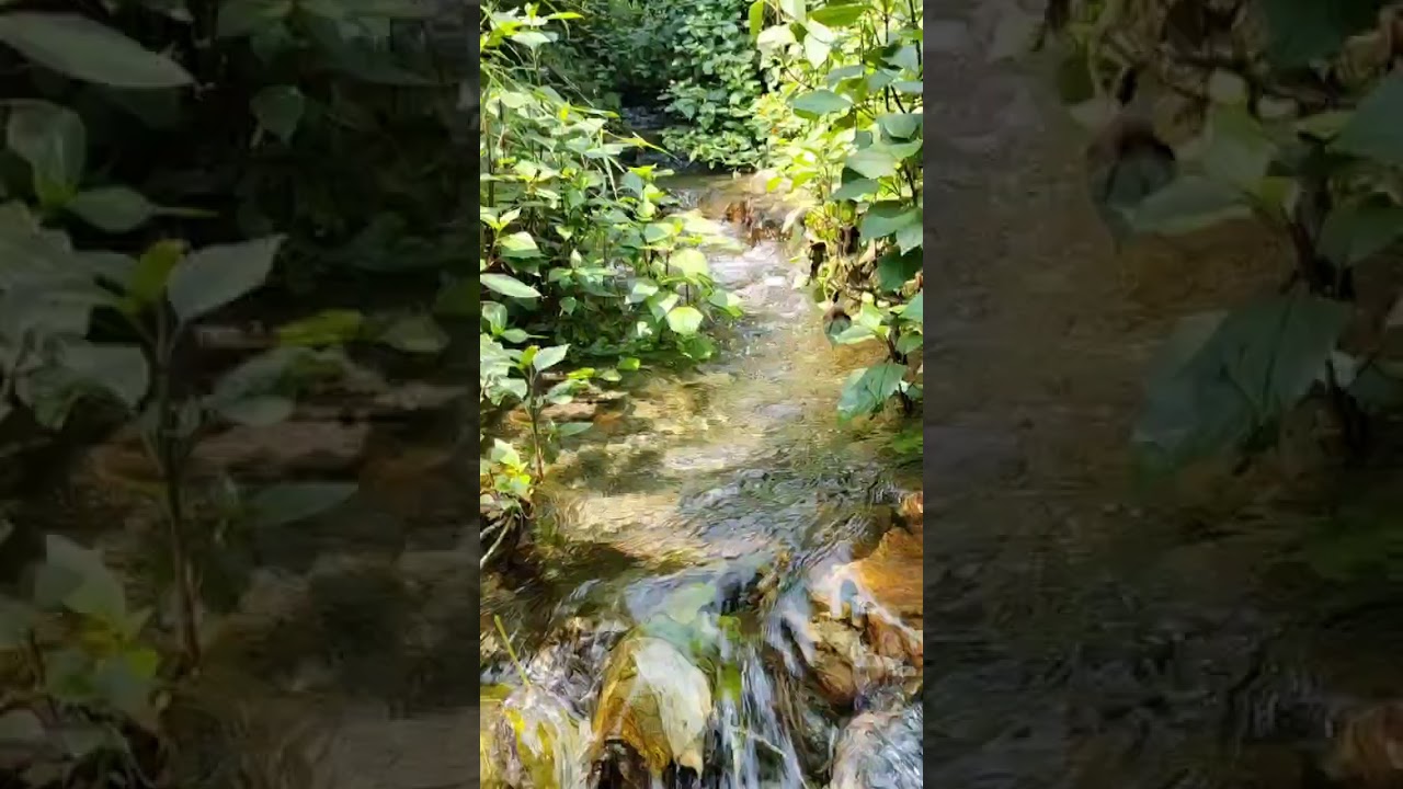 Fresh Water Stream ? Clean Water ? #nature | #hills | #shorts | #shortsvideo