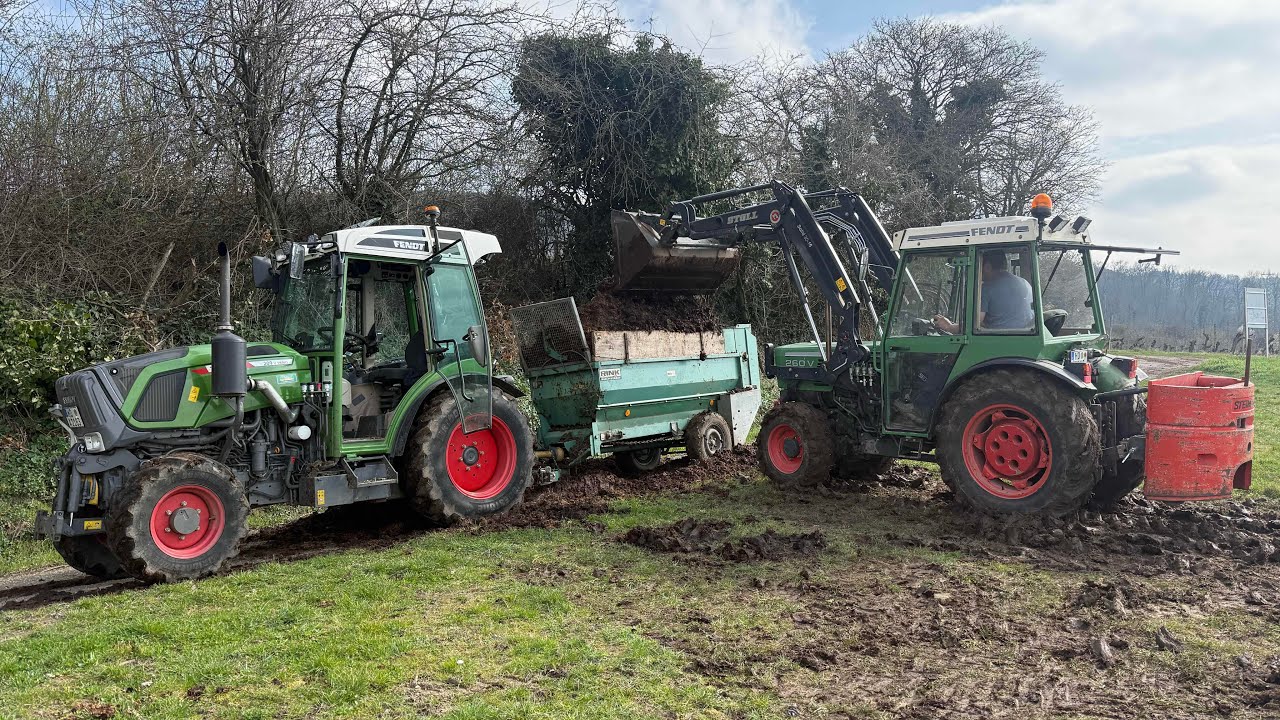 Mist streuen im Weinbau 2025 /  Fendt 209 V Vario & Fendt 260 V Rink Kompoststreuer Weinberg Düngen