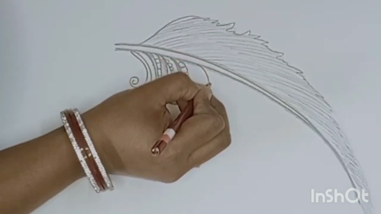Feather design sketch.