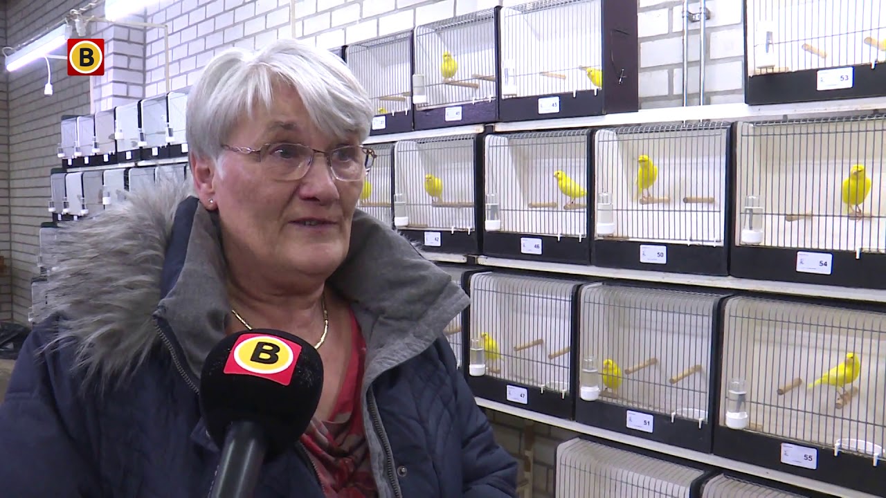 Vogels gestolen bij De Bastaarden in Nuenen