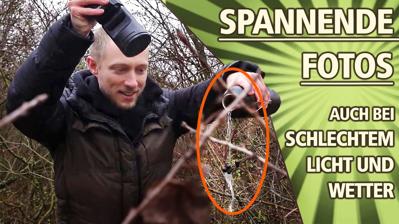 CHALLENGE: SPANNENDE FOTOS draußen trotz SCHLECHTEM LICHT und Wetter!