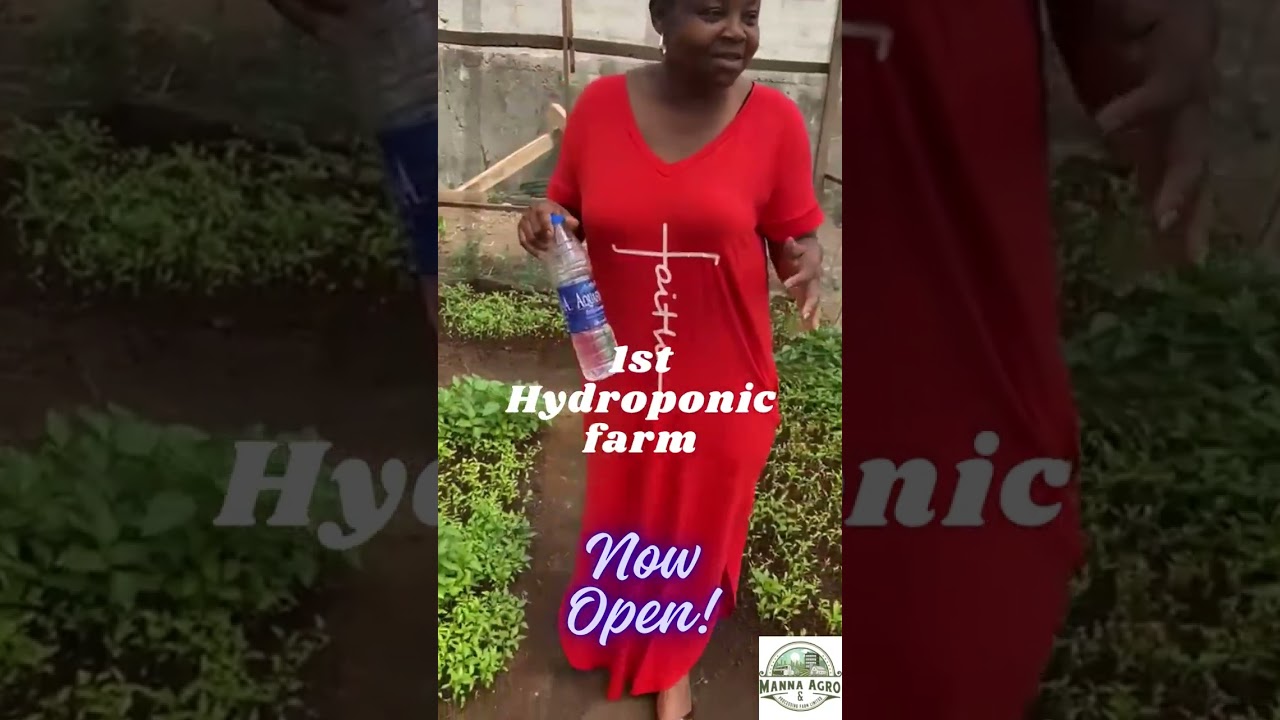 Our Hydrophonic farm