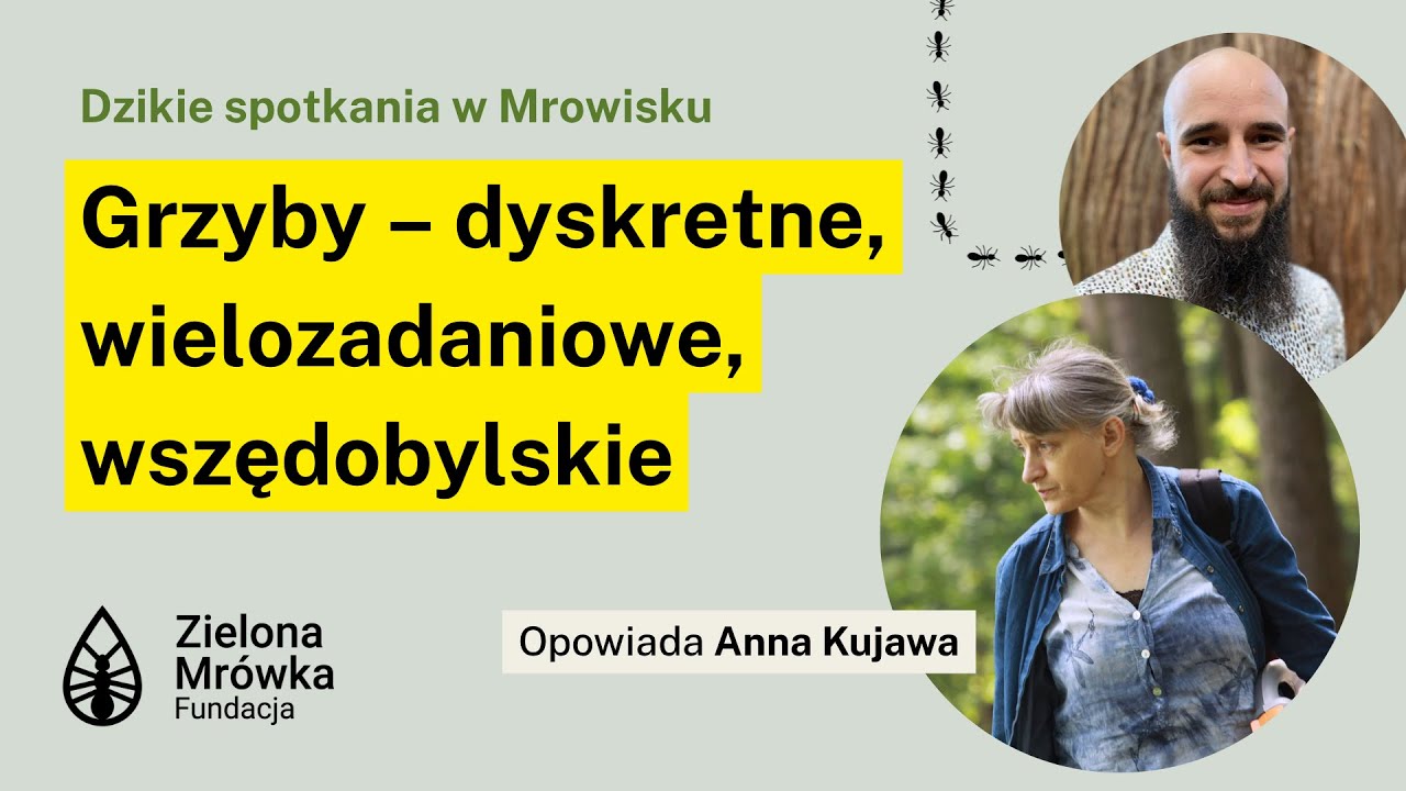 Grzyby - niezbędne w ekosystemach. Webinar z Anną Kujawą