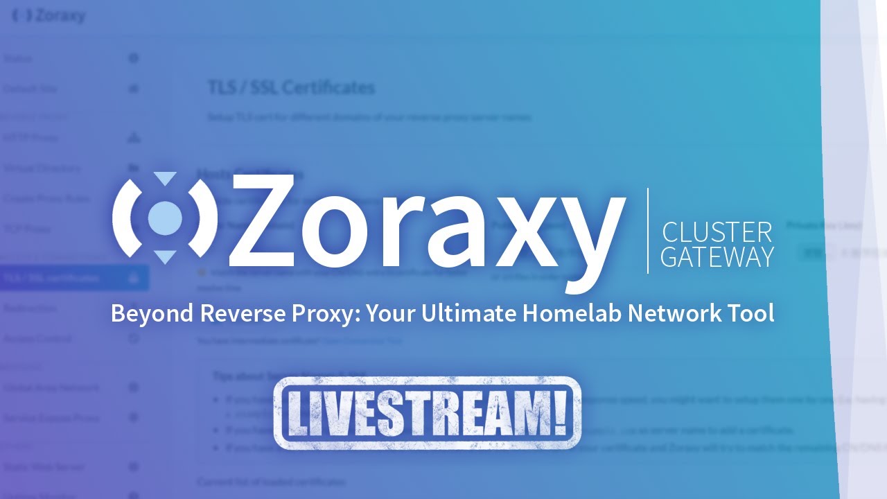 Digging Into Zoraxy - A Reverse Proxy Livestream