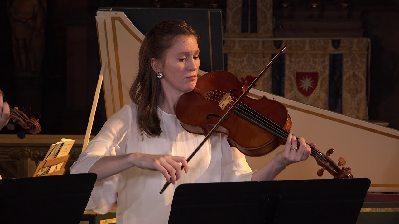 J.G. Graun Concerto for Violin and Viola in C Minor, Mvt 1