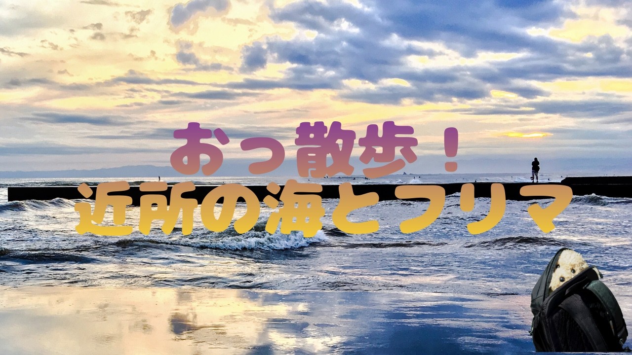 おっ散歩！　近所の海とフリマで愛犬の思い出に浸る