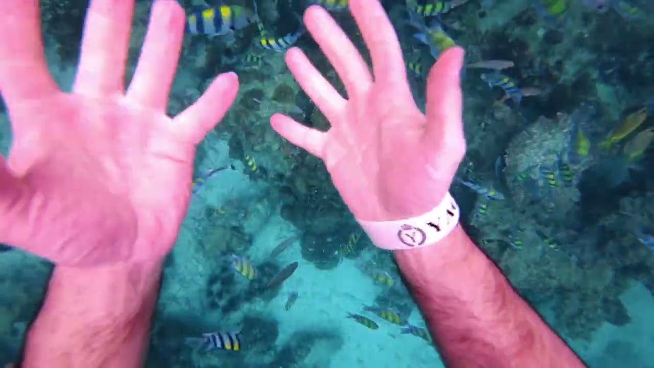Snorkelling POV - Thailand 4K