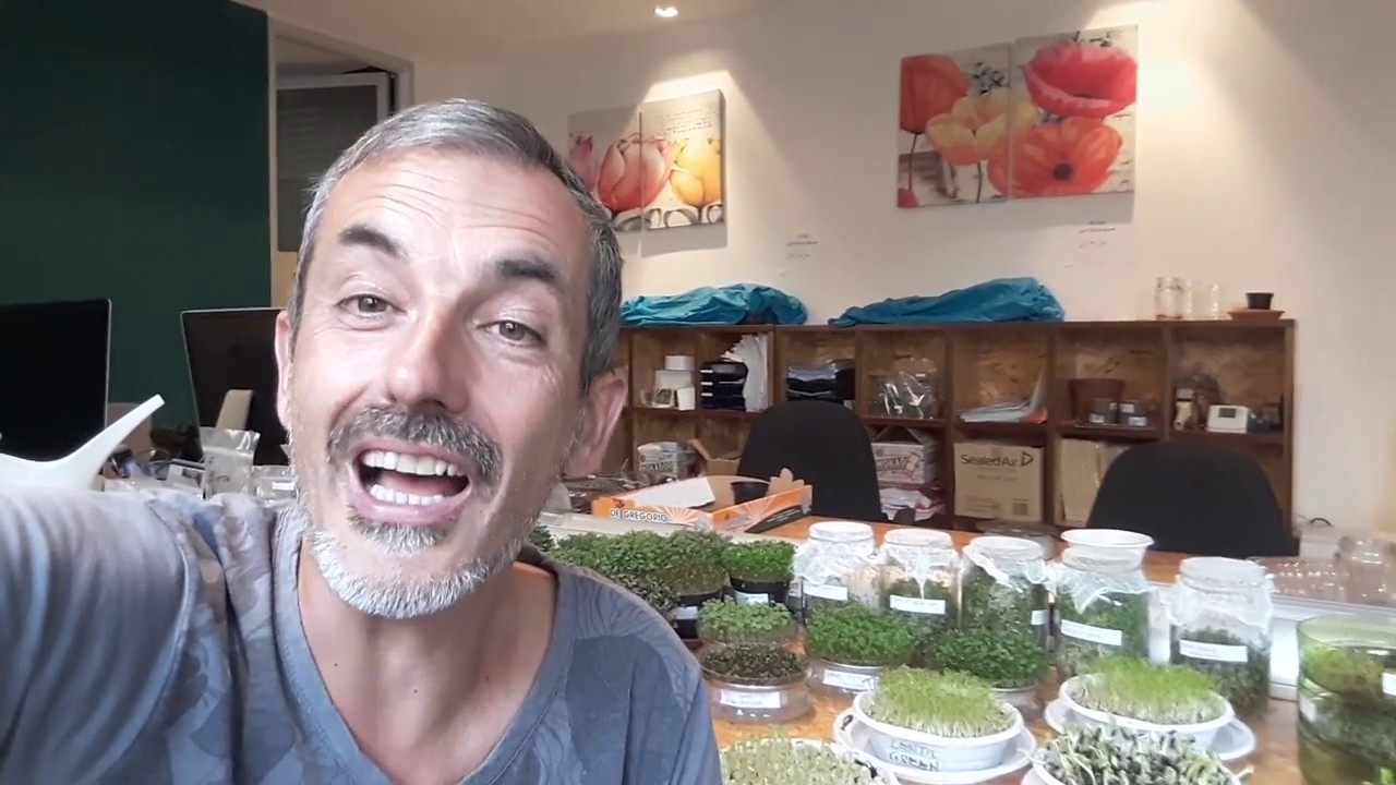 Quali sono le fasi per una perfetta germinazione?