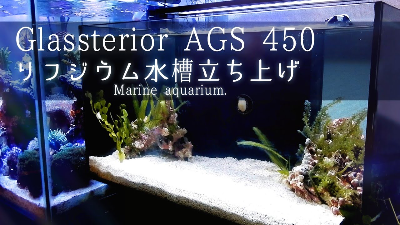 グラステリアAGS-OF450-で海水魚水槽 立ち上げ❀アクアリウム