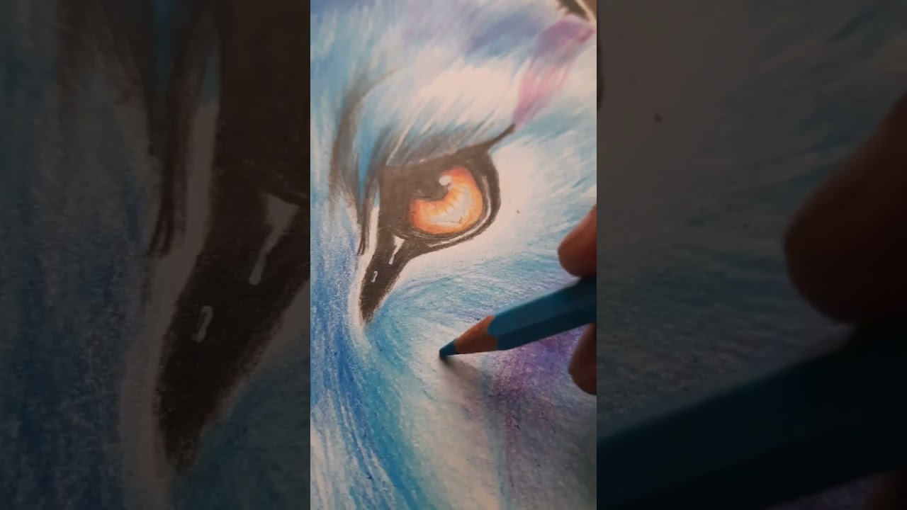 Wolf drawing #wolf #fanart #anime #animeedit  #drawing #drawingtutorials